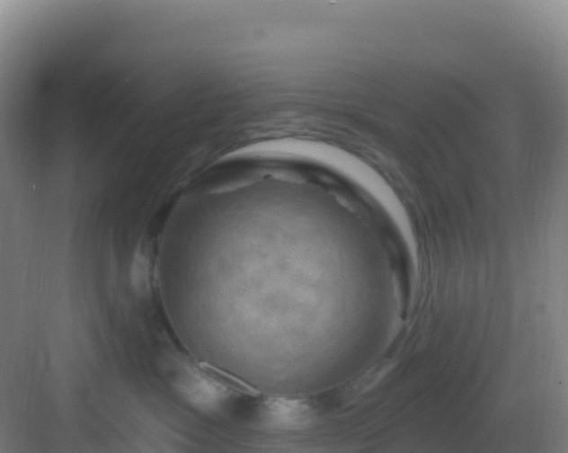 X0000083040333200702091415