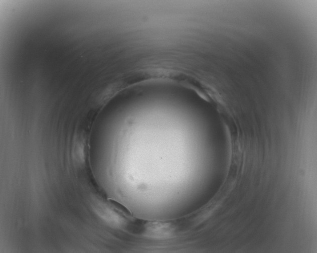 X0000083040334200702091415