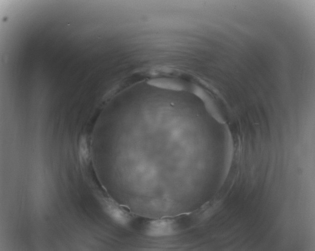 X0000083040335200702091415