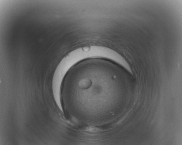 X0000083040336200702091415