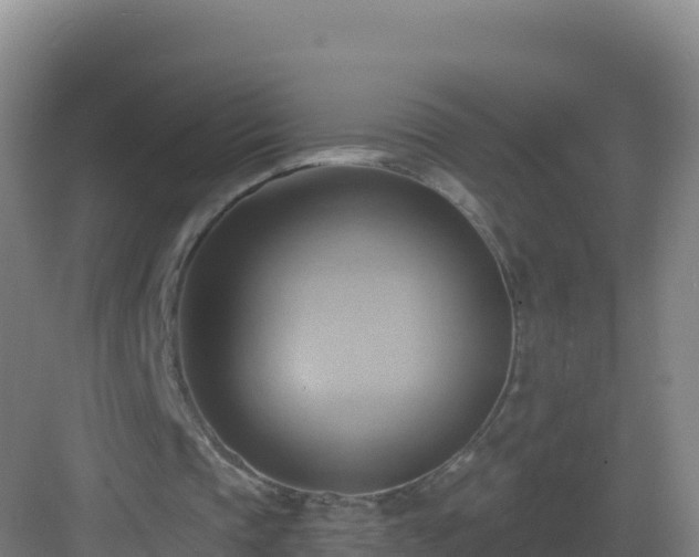 X0000083040337200702091414