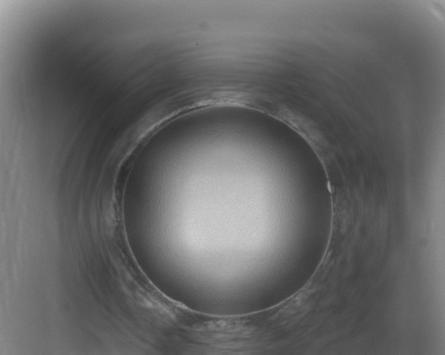 X0000083040338200702091414