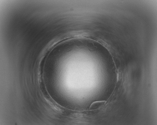 X0000083040339200702091414