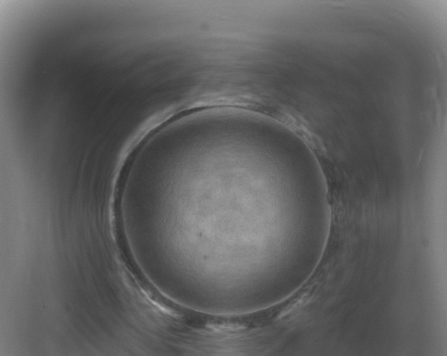 X0000083040340200702091414