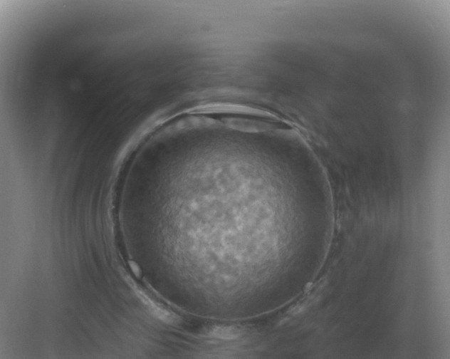 X0000083040341200702091414