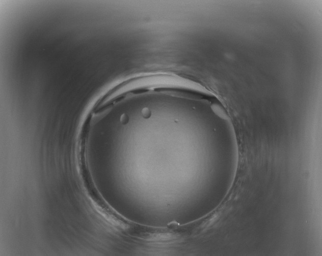 X0000083040342200702091414