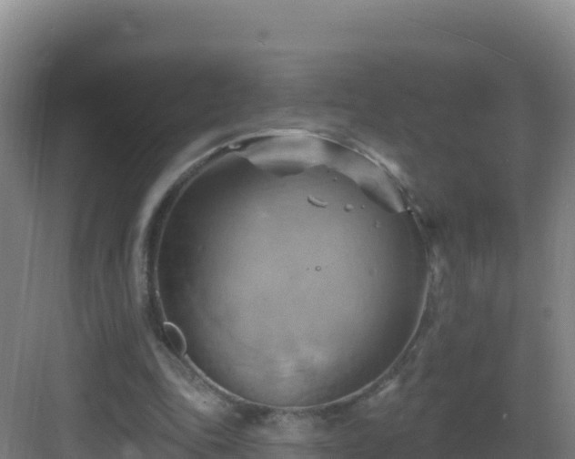 X0000083040343200702091414