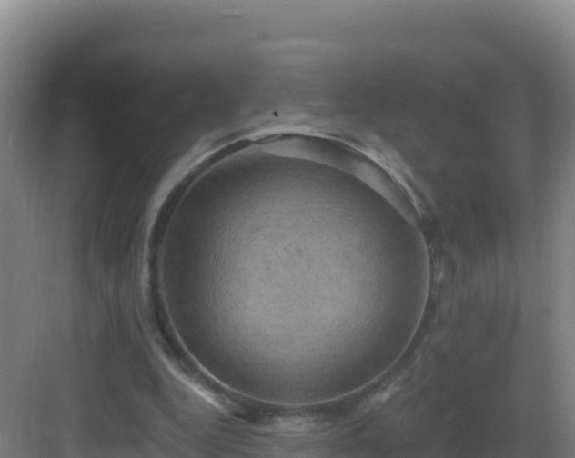 X0000083040344200702091414