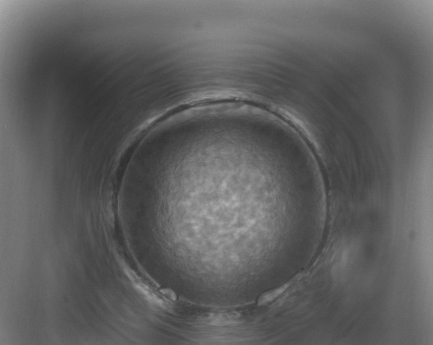 X0000083040345200702091415