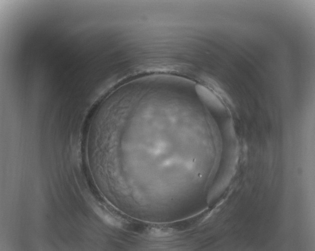 X0000083040346200702091415