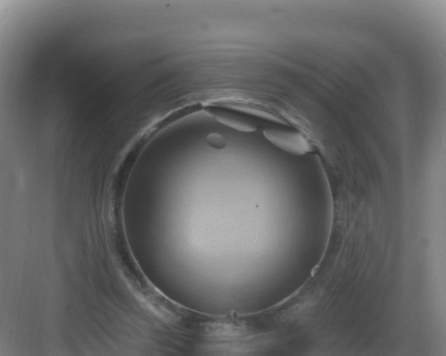 X0000083040347200702091415