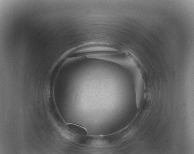 X0000083040348200702091415