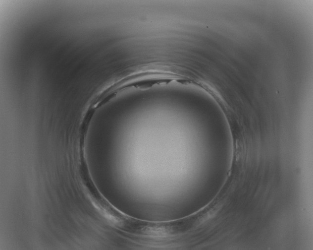 X0000083040349200702091415