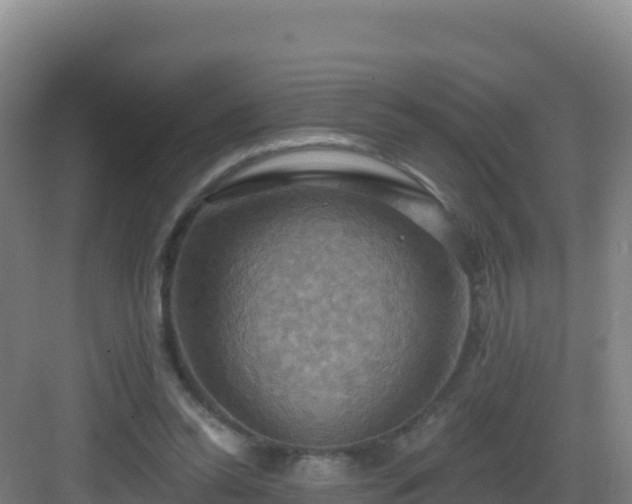 X0000083040350200702091415