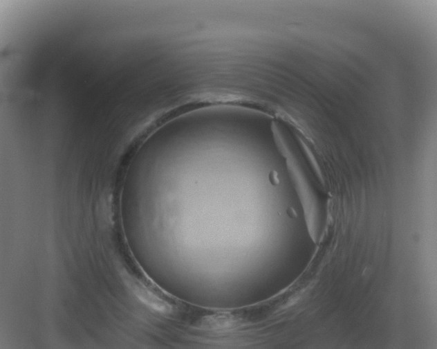 X0000083040351200702091415