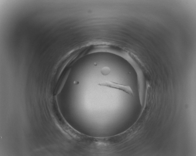 X0000083040352200702091415