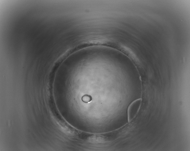 X0000083040354200702091415