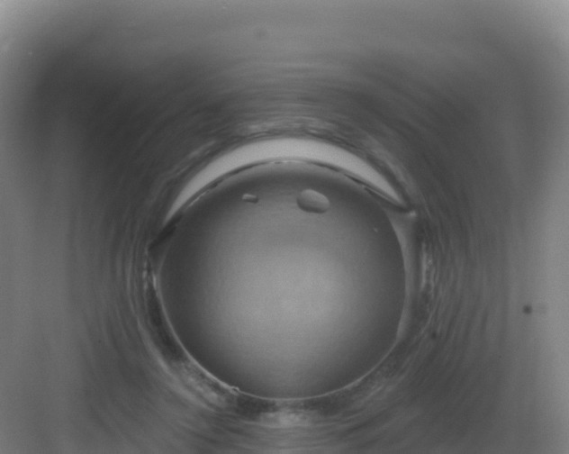 X0000083040356200702091415