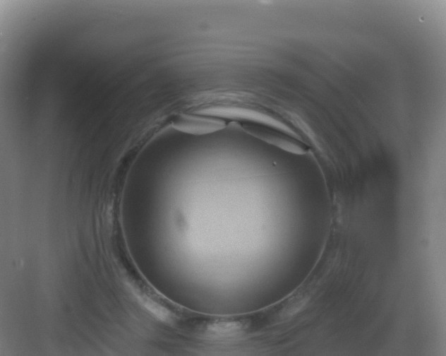 X0000083040357200702091415