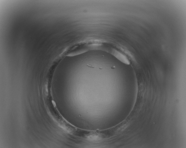 X0000083040358200702091415