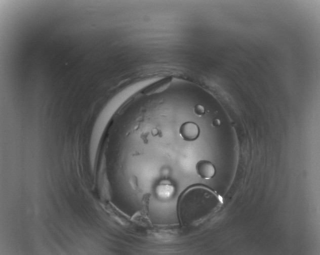 X0000083040359200702091415