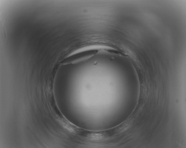 X0000083040361200702091415