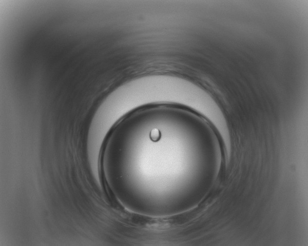 X0000083040362200702091415