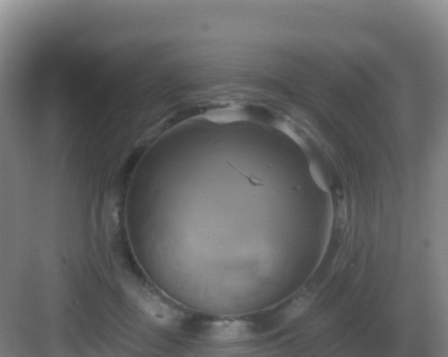 X0000083040363200702091415