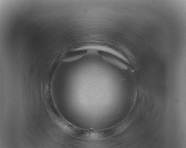 X0000083040365200702091415