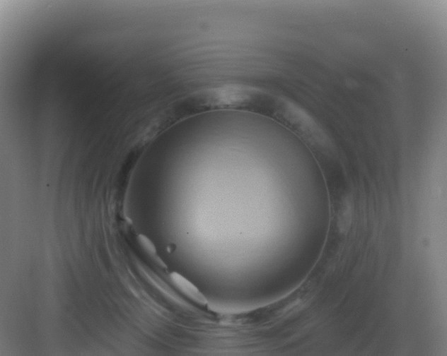 X0000083040366200702091415