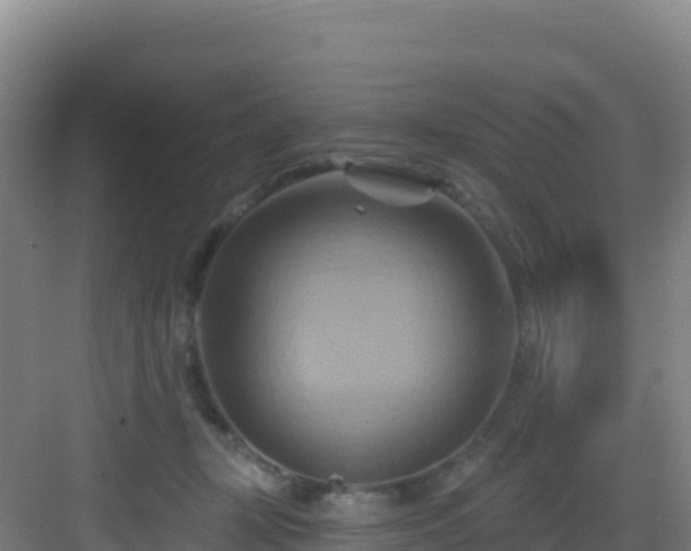 X0000083040367200702091415