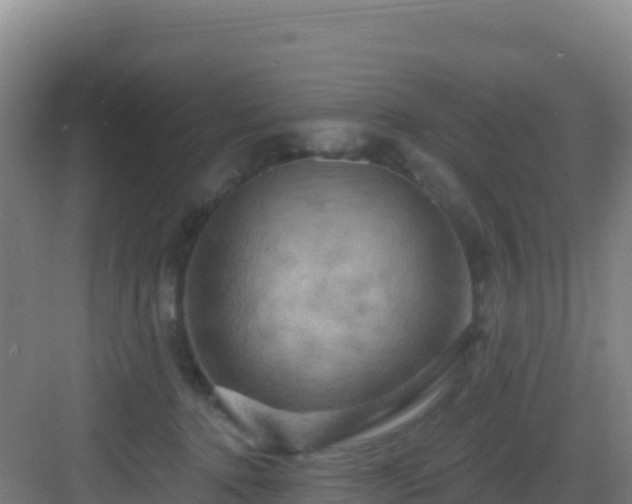 X0000083040368200702091415