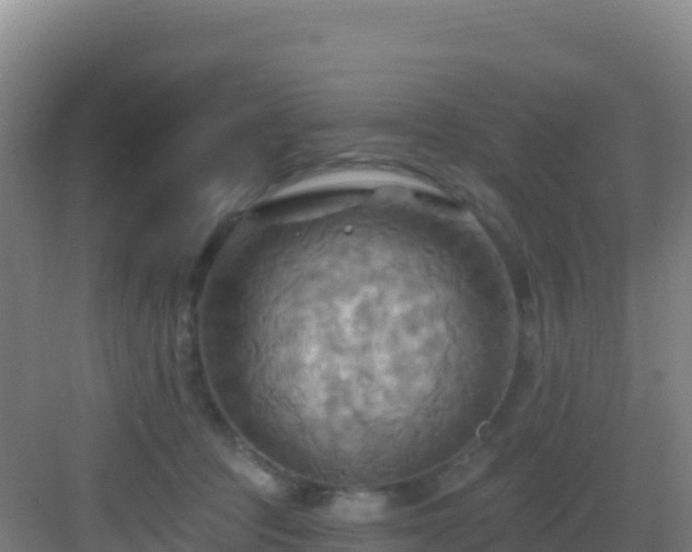 X0000083040369200702091415