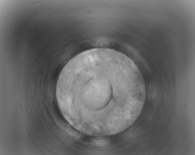 X0000083040370200702091415