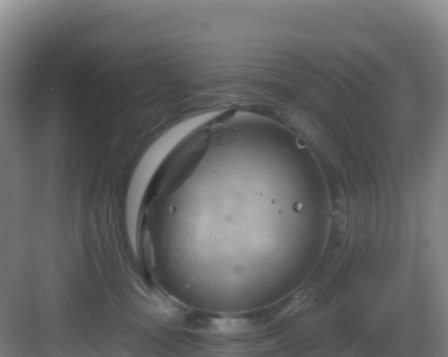 X0000083040371200702091415