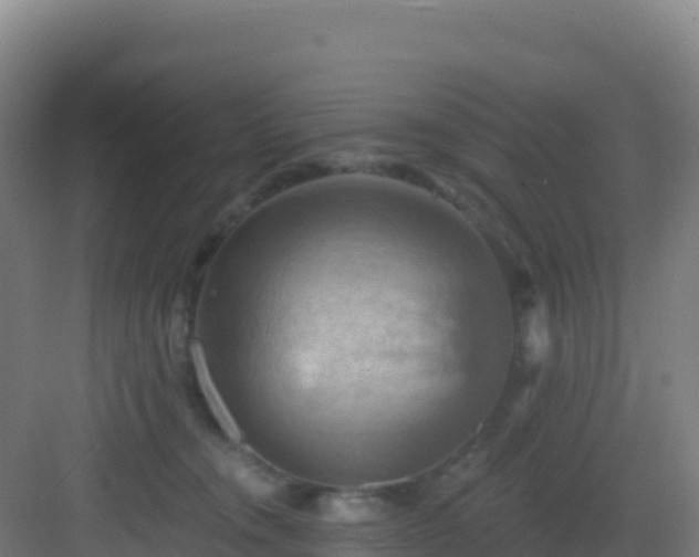 X0000083040372200702091415