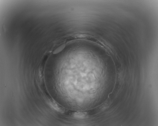 X0000083040373200702091415