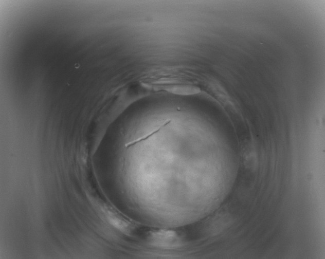 X0000083040374200702091415