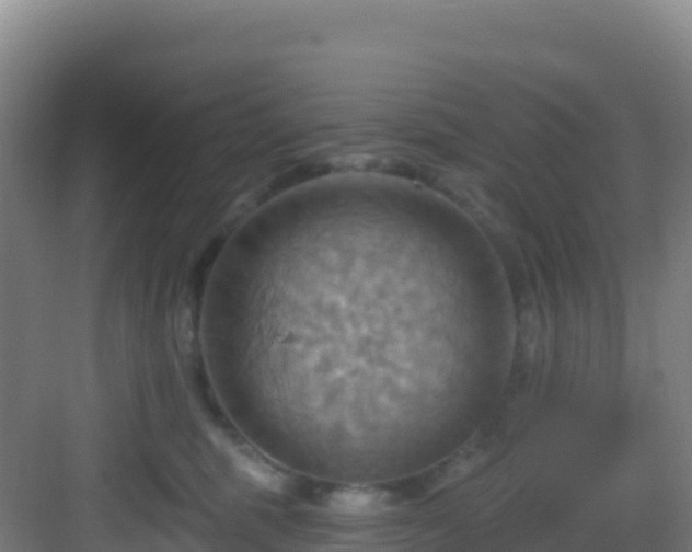 X0000083040375200702091415