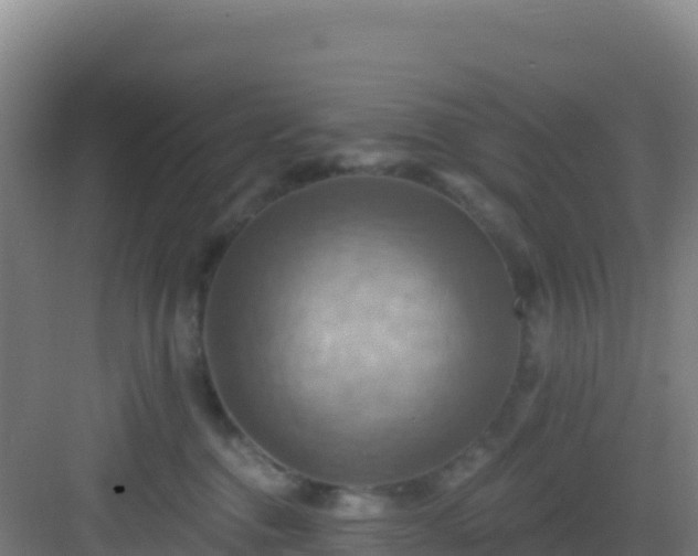 X0000083040376200702091415