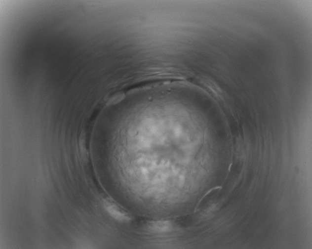 X0000083040377200702091415