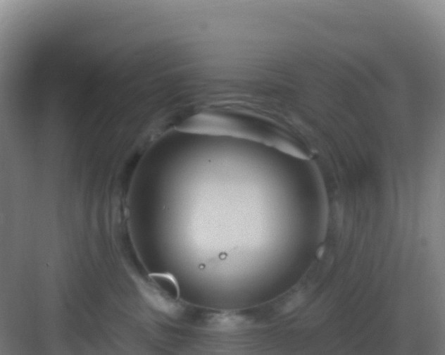 X0000083040379200702091415