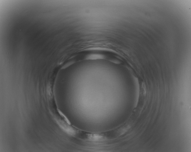 X0000083040380200702091415