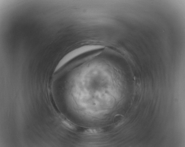 X0000083040381200702091415