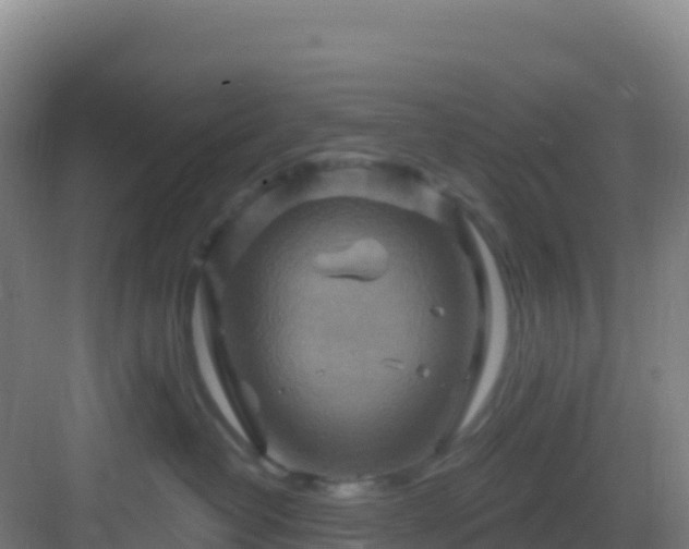 X0000083040382200702091415