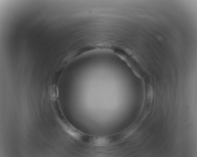 X0000083040383200702091415