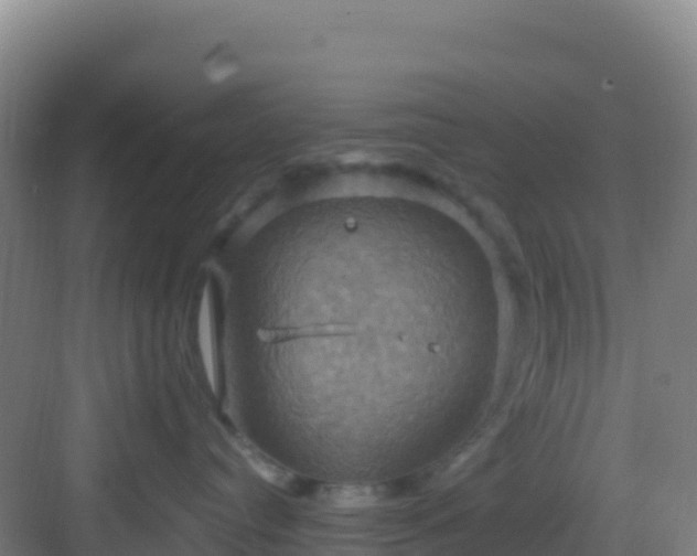 X0000083040384200702091415