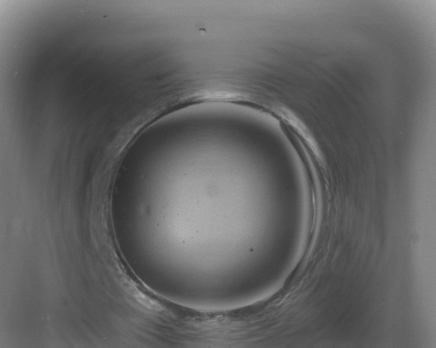 X0000083040385200702091414