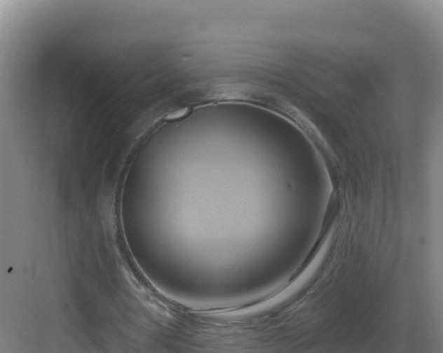 X0000083040386200702091414