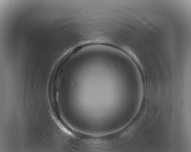 X0000083040389200702091414